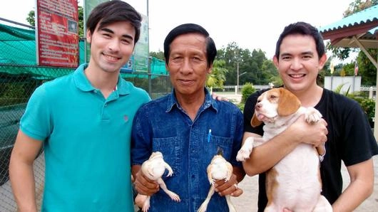 เมนูจากกบ