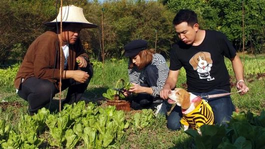 สวนเกษตรอินทรีย์