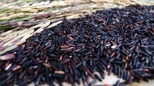 ข้าวไรซ์เบอร์รีปลอดสาร มากคุณประโยชน์