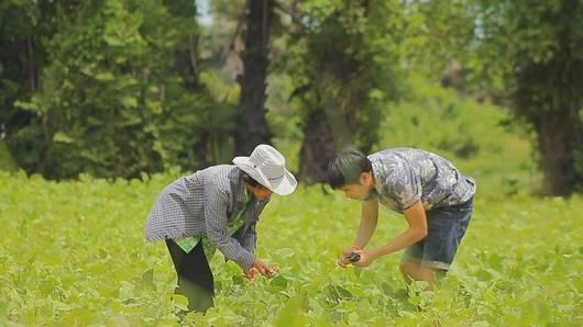 โหนด นา เล...วิถีแห่งความมั่นคงทางอาหาร