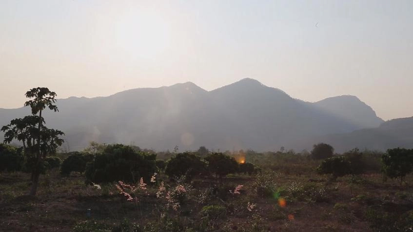 จัดการป่า? จัดการคน?