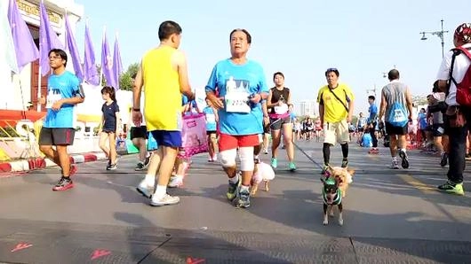 สุขภาพ หู คอ จมูก