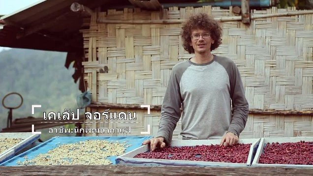 นักพัฒนากาแฟ