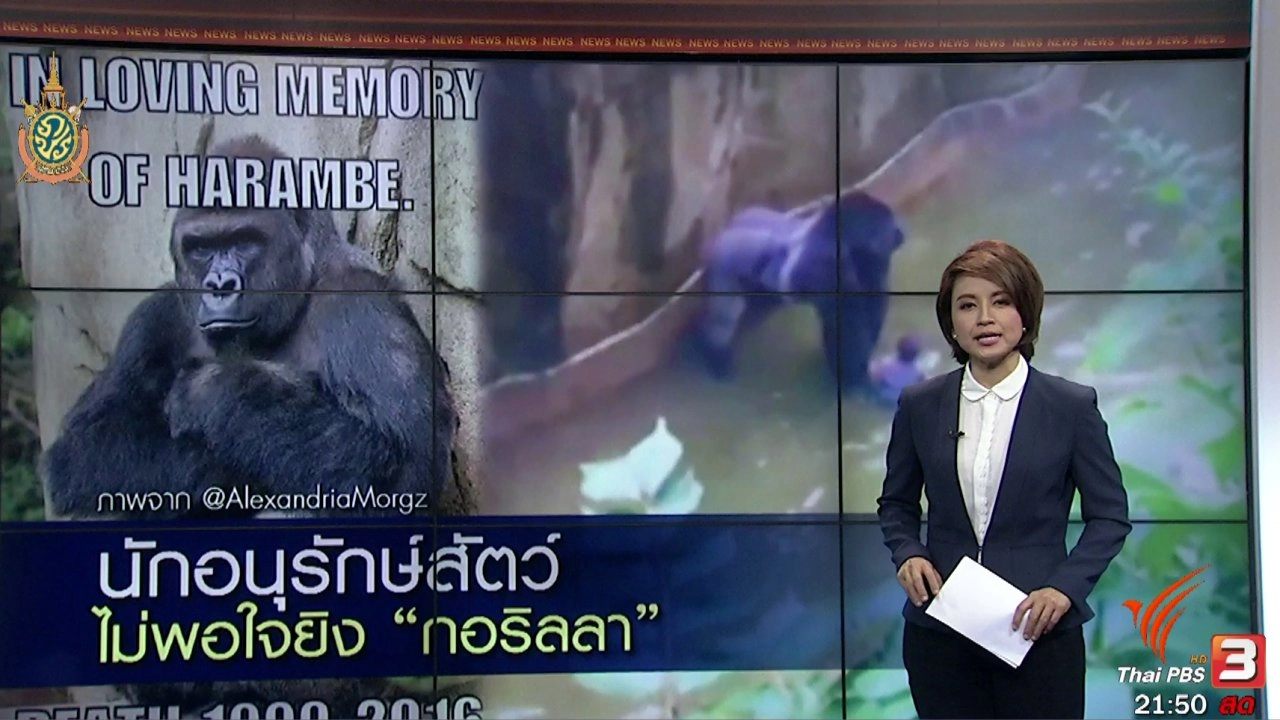 ประเด็นข่าว (30 พ.ค. 59)