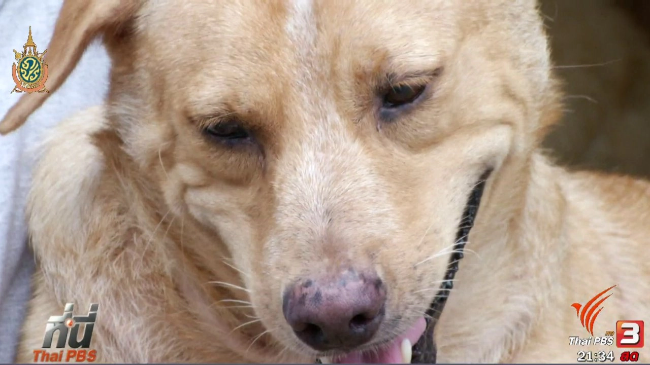 ประเด็นข่าว (3 มิ.ย. 59)