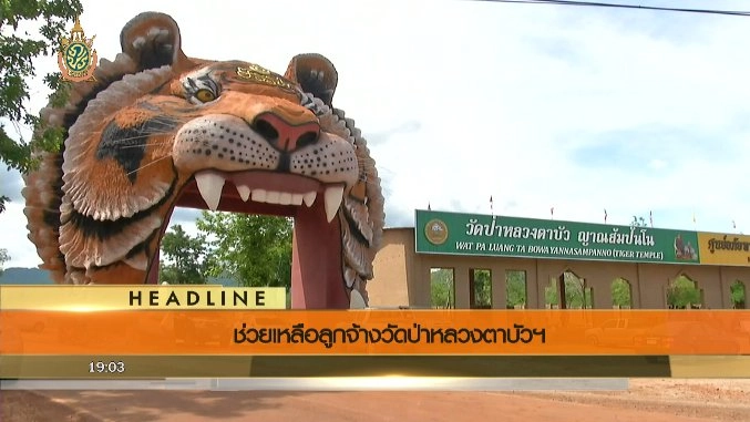 ประเด็นข่าว (4 มิ.ย. 59)