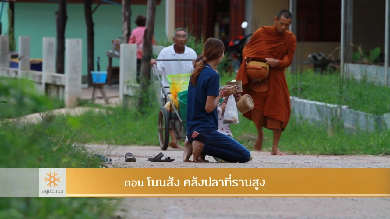 โนนสัง คลังปลาที่ราบสูง