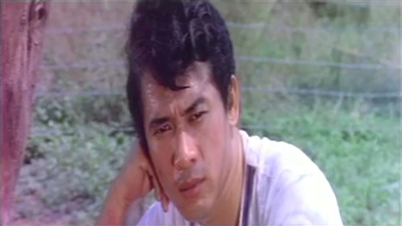 เหมือนฝัน