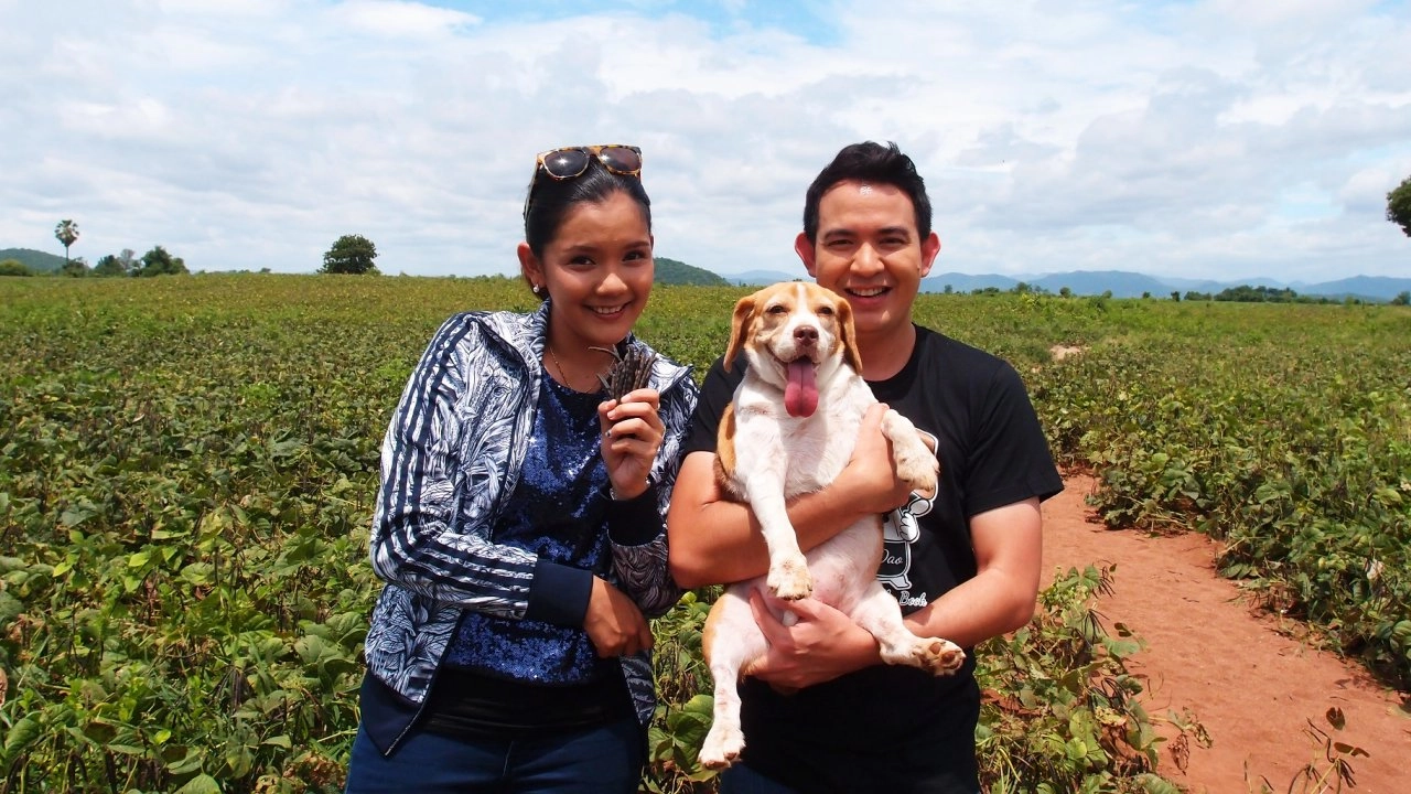 ถั่วเขียว