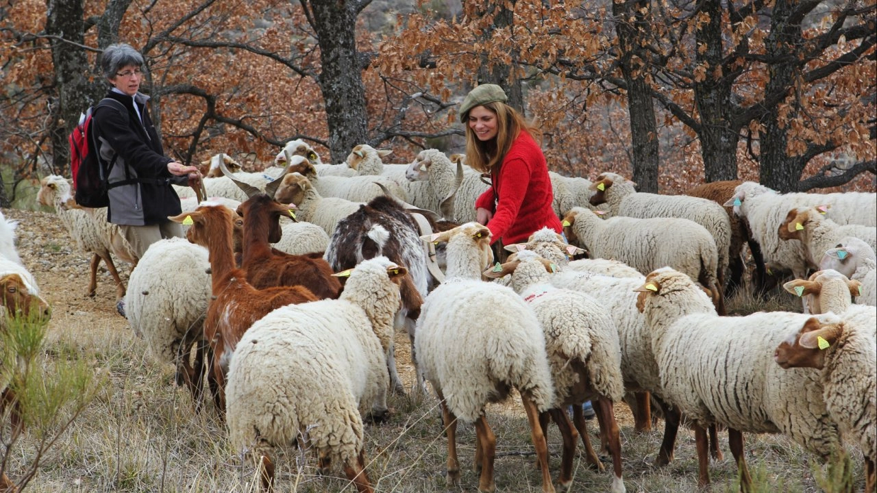 ซาราห์ตะลุยยุโรป ตอนที่ 8