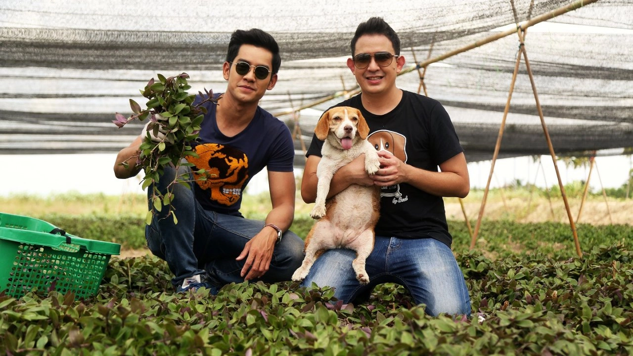 หญ้าไผ่น้ำ