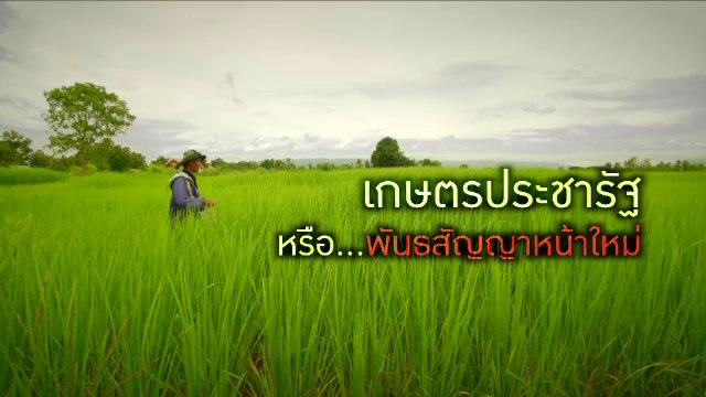 เกษตรประชารัฐ หรือ...พันธสัญญาหน้าใหม่