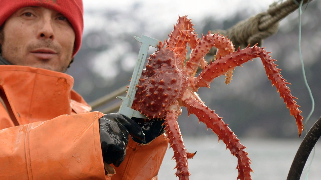 โลก 360 องศา  ตอน ปูจักรพรรดิ