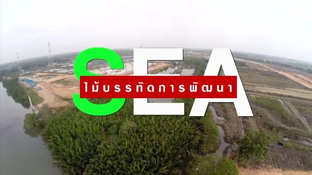ไม้บรรทัด การพัฒนา