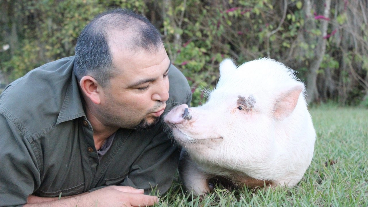 เพื่อนซี้ต่างพันธุ์ ตอน ปัปปีเลิฟลูกหมากับลูกชีตาห์