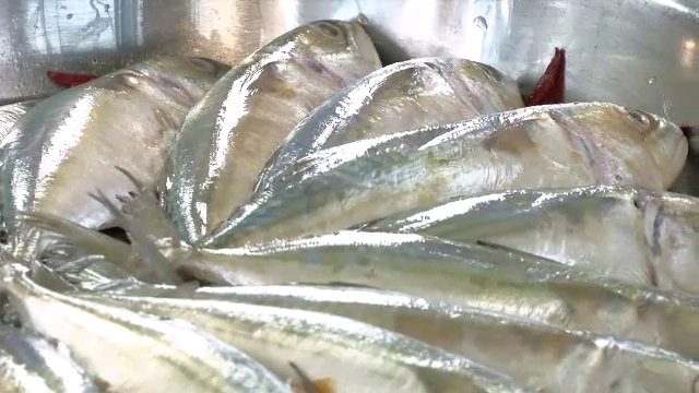 จ.สมุทรสาคร