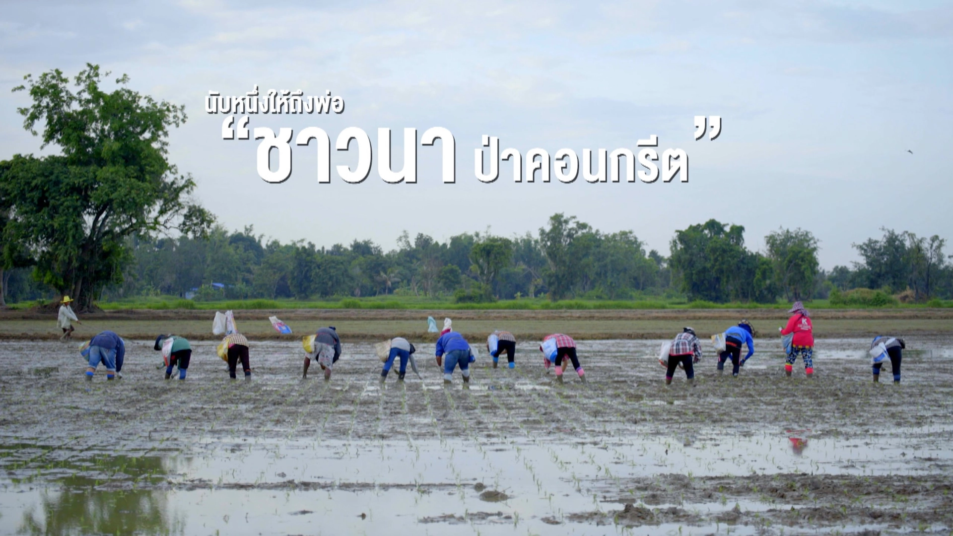 นับ ๑ ให้ถึงพ่อ