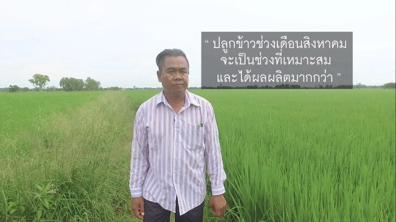 ​วันแม่หว่านเมล็ด ที่ภาคกลาง