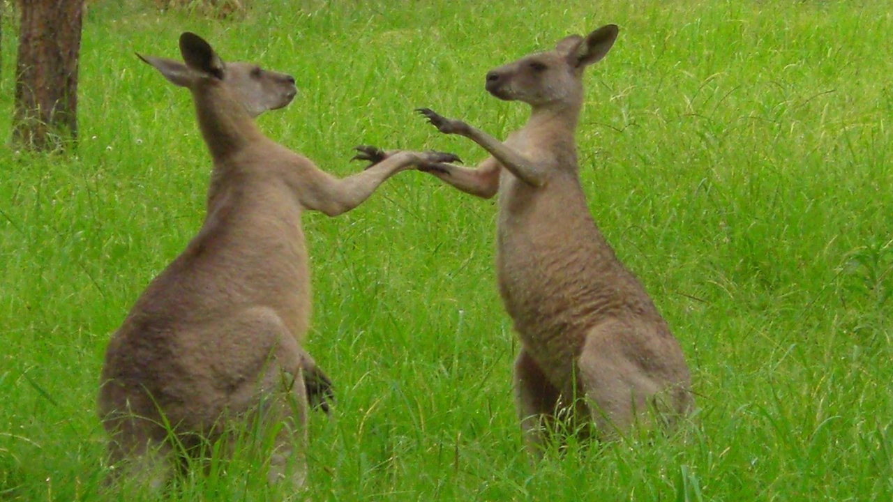 มหัศจรรย์การรับรู้ ตอน การสื่อสาร