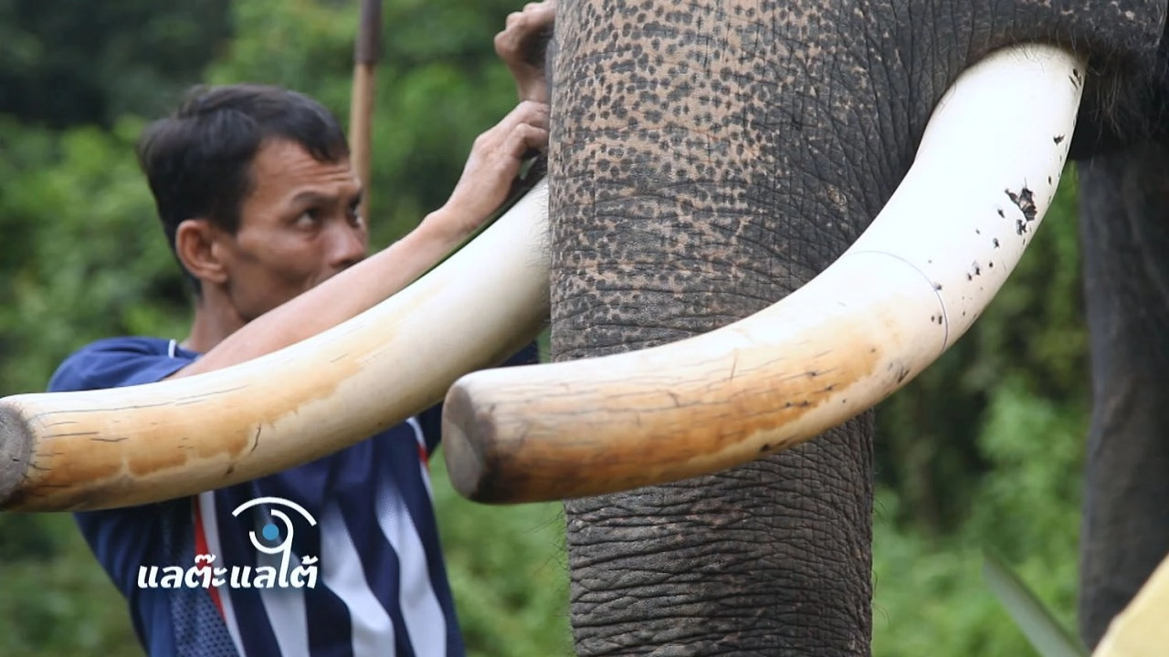 แลต๊ะแลใต้