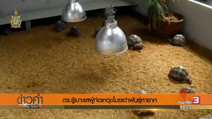 ประเด็นข่าว (7 มิ.ย. 59)