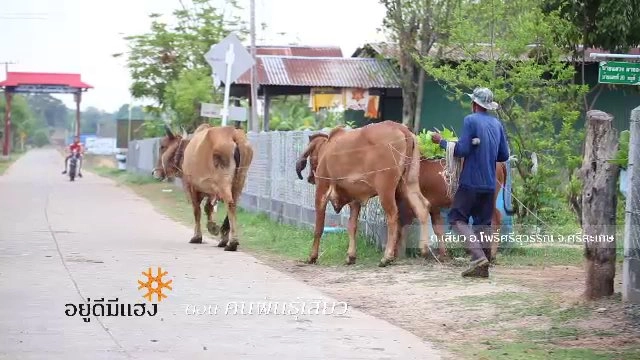 ​คนพันธุ์เสียว