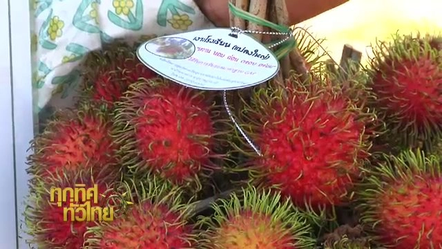 ประเด็นข่าว (16 มิ.ย. 59)