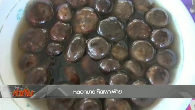 เตือนเห็ดเผาะสองพันธุ์ขายปะปนกัน