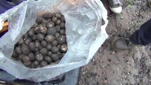 ส่งเห็ดเผาะผ่านไปรษณีย์และสายการบิน