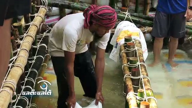 ชีวิตหลังฝาย