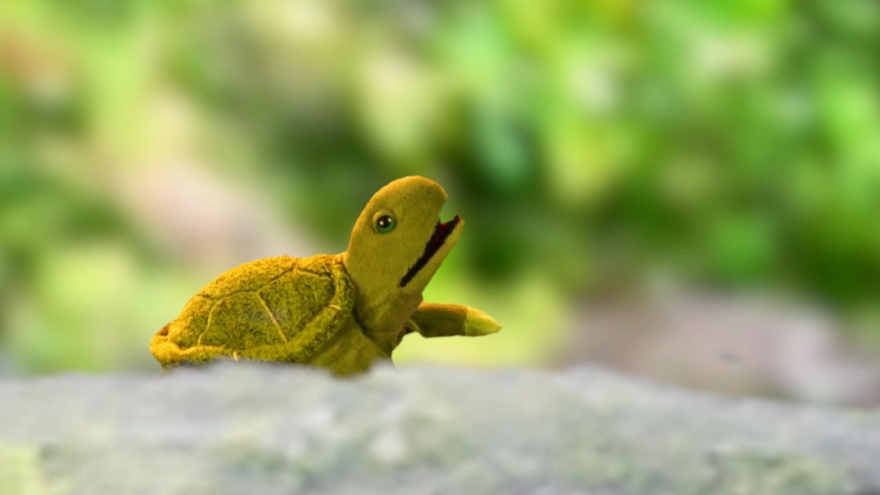 เต่าตัวจิ๋ว