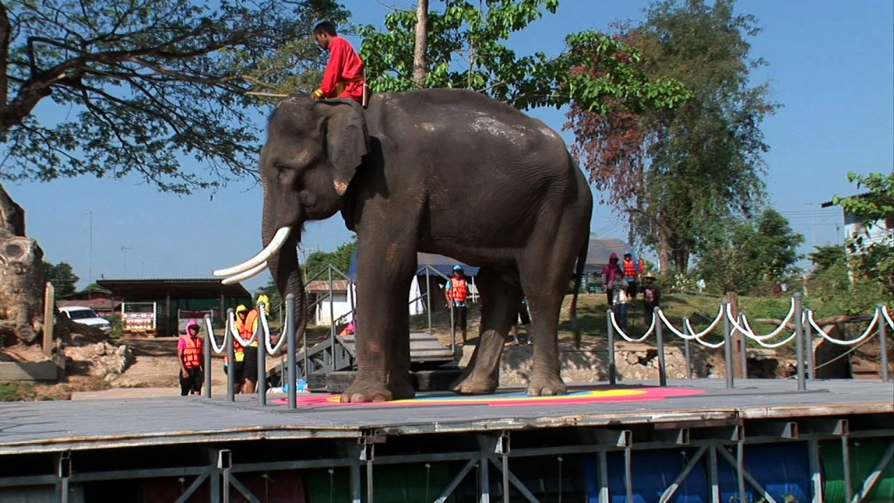 ตื่นตากับวิทยาศาสตร์แสนสนุก  ตอน  ช้างหนักเท่าไร , นำแสงไปสู่ความมืด , เครื่องผลิตไฟฟ้าลวดกระโดด และ ใบพัดหนังยาง