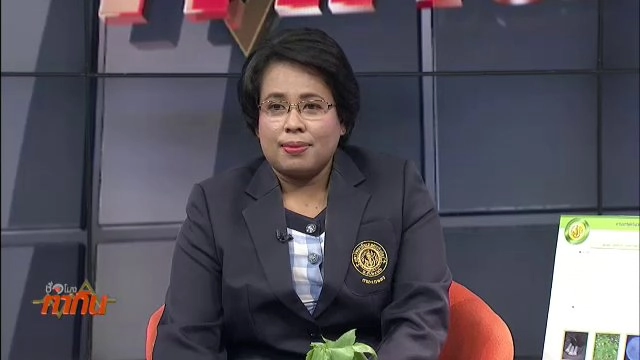 เจลแต้มสิวสาบเสือต่อยอดเชิงพาณิชย์