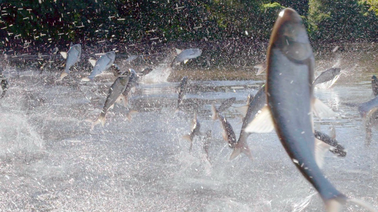 เหตุการณ์ธรรมชาติสุดพิลึก ตอน โอคุโนะชิมะ