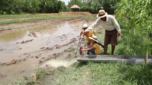 ​สังคม
