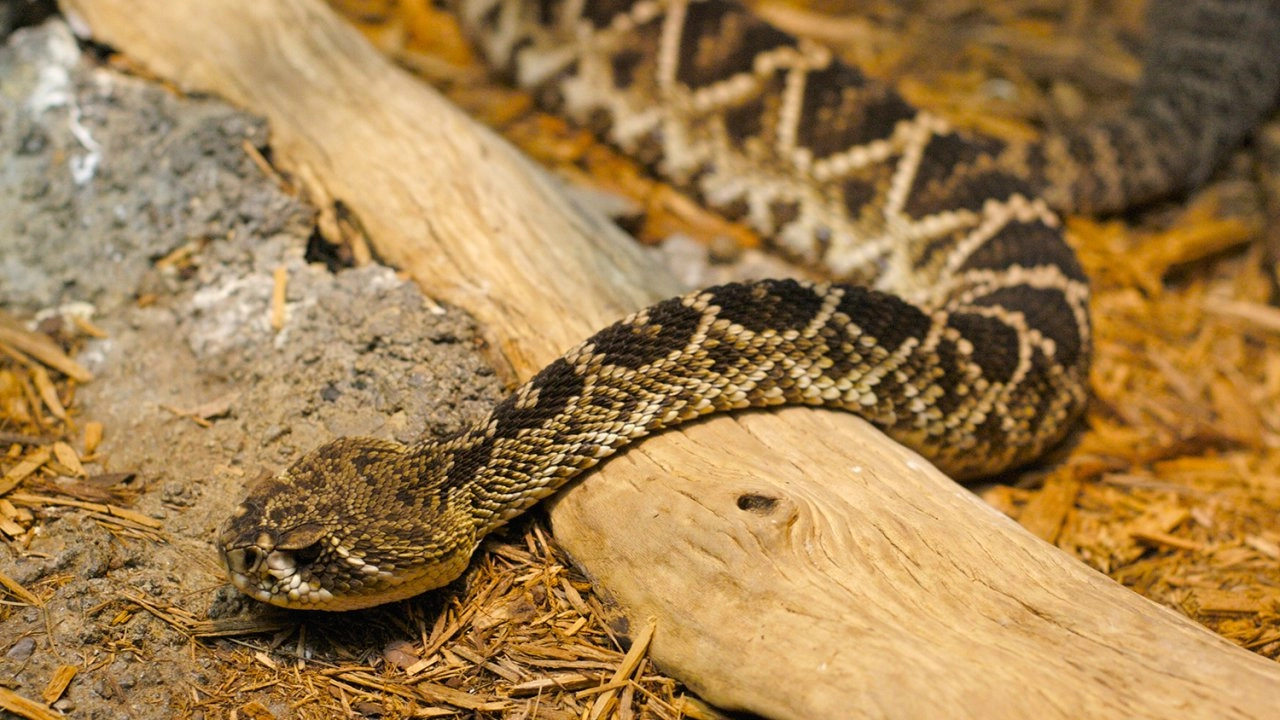 มหัศจรรย์การรับรู้ ตอน การรับรส