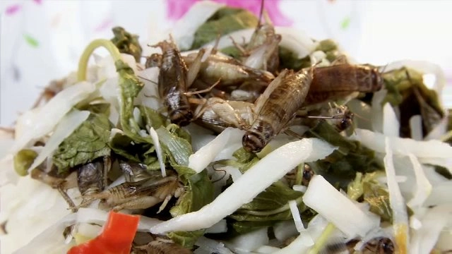 ​จ.ขอนแก่น