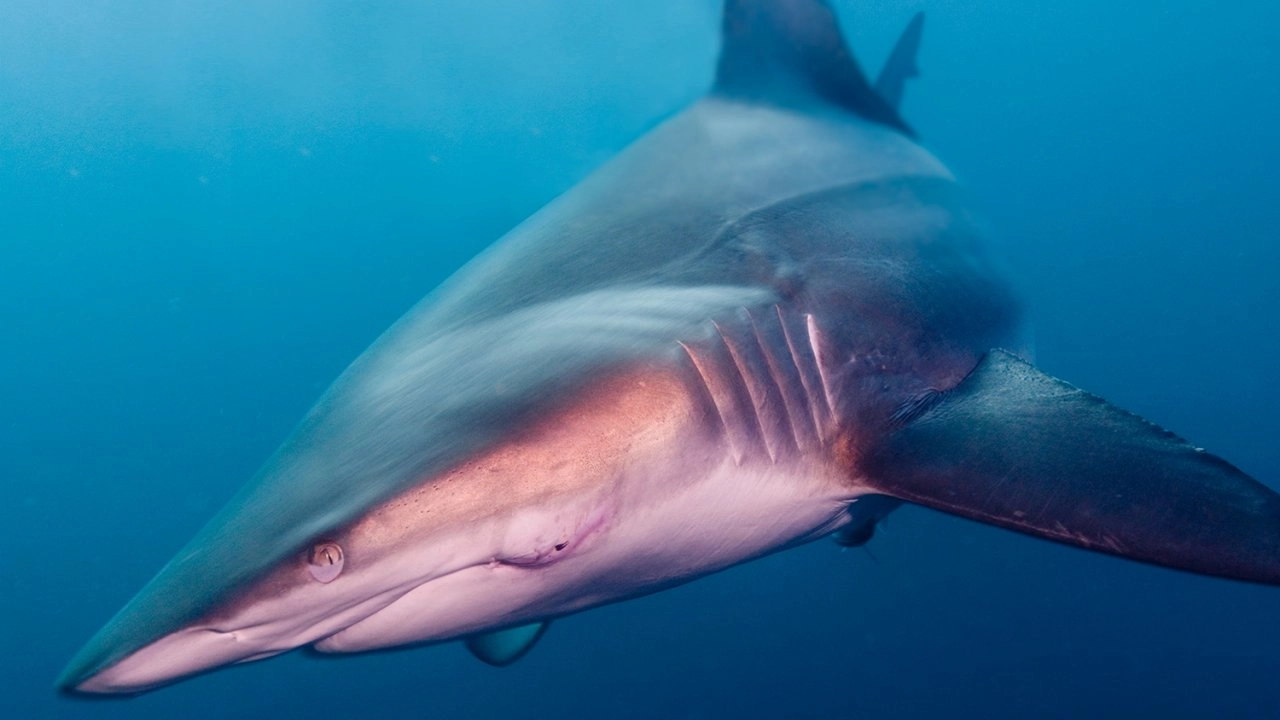 มหัศจรรย์การรับรู้ ตอน สัมผัสที่ 6