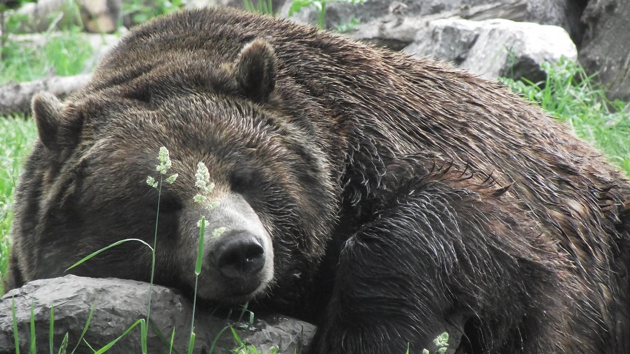 มหัศจรรย์การรับรู้ ตอน นาฬิกาชีวิต