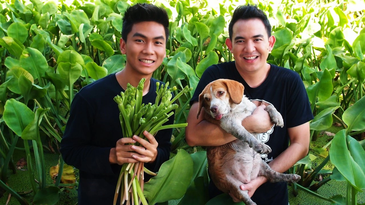 ผักกันจอง