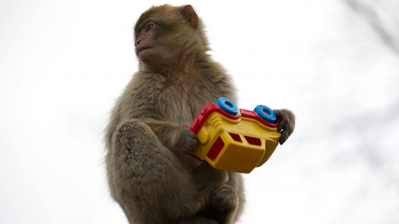 มหัศจรรย์สายใยรักแห่งแม่ลูก ตอน ลูกสัตว์วัยซน