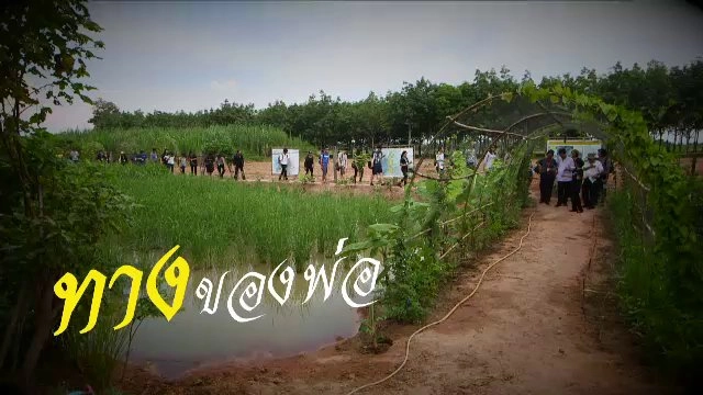 ทางของพ่อ