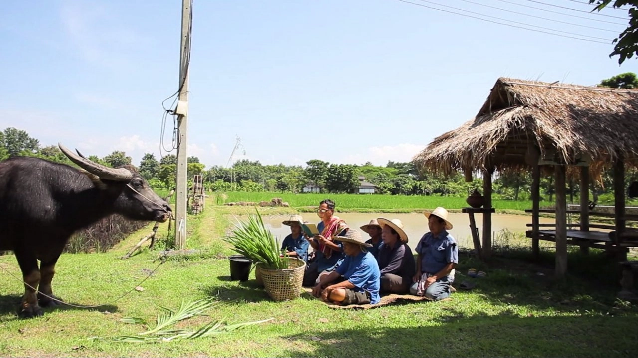 ​ฮ้องขวัญควาย (สู่ขวัญควาย)