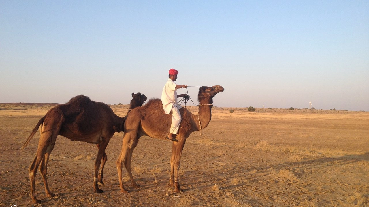 ณ จุดหนึ่งบนพื้นพิภพ ตอน ราชสถาน