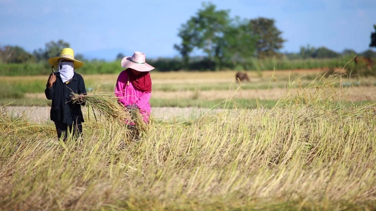 ตามรอยเสด็จ ณ อุบลราชธานี​