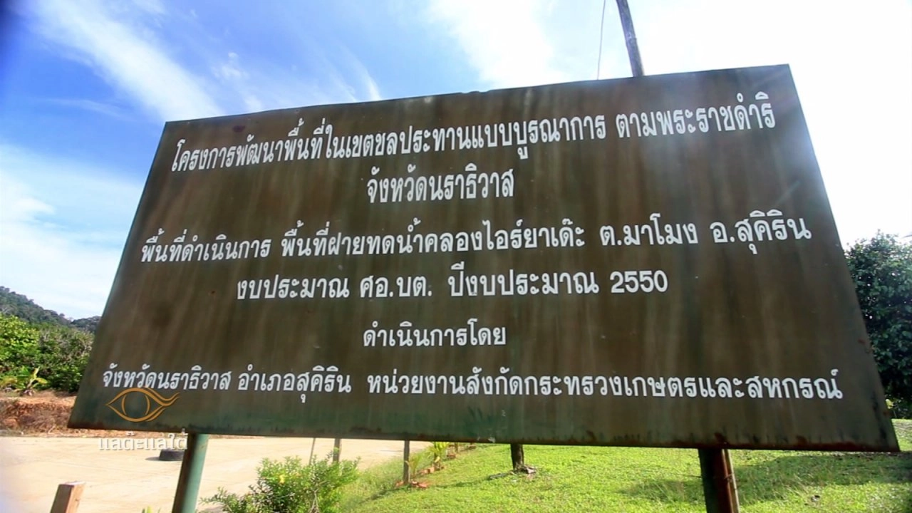 รวงข้าวของพ่อ​