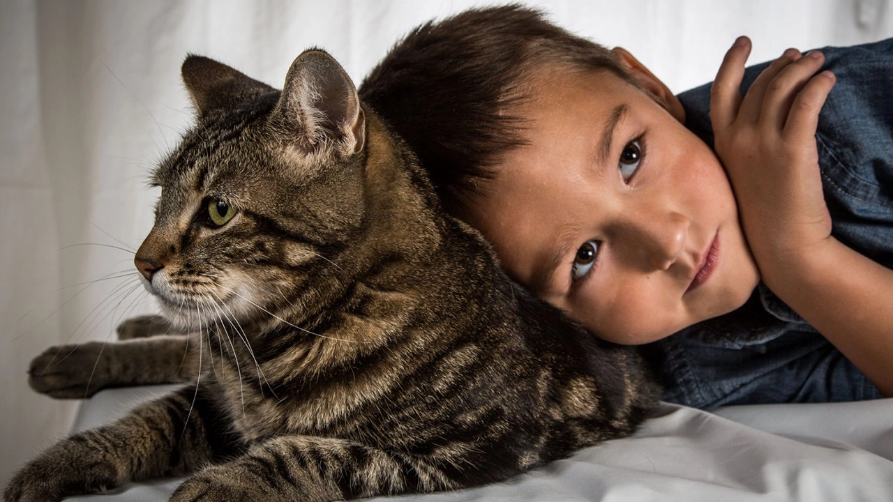 เพื่อนซี้ต่างพันธุ์ ตอน แมววีรบุรุษ