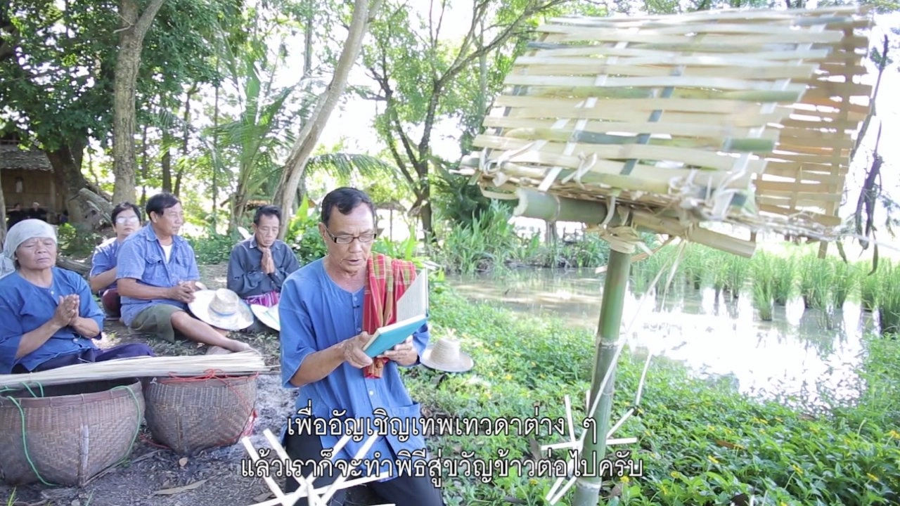 พิธีสู่ขวัญข้าว