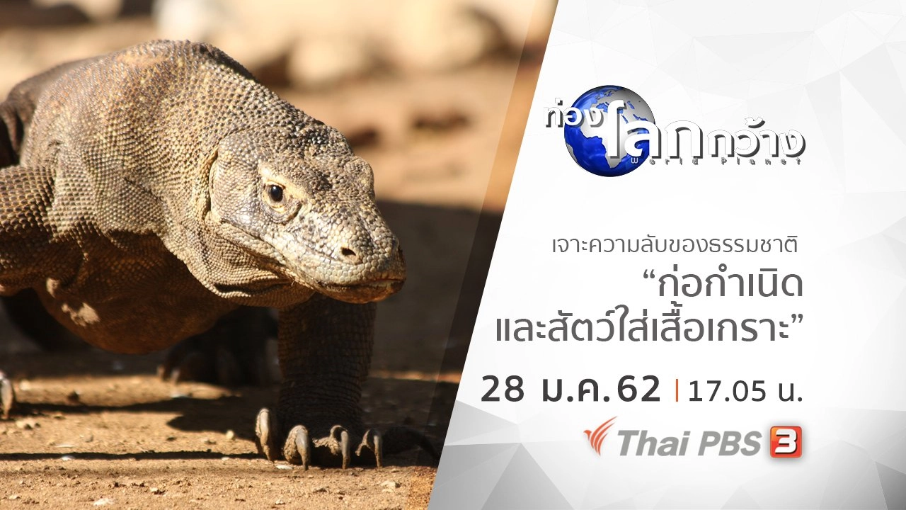 เจาะความลับของธรรมชาติ ตอน ก่อกำเนิด และสัตว์ใส่เสื้อเกราะ