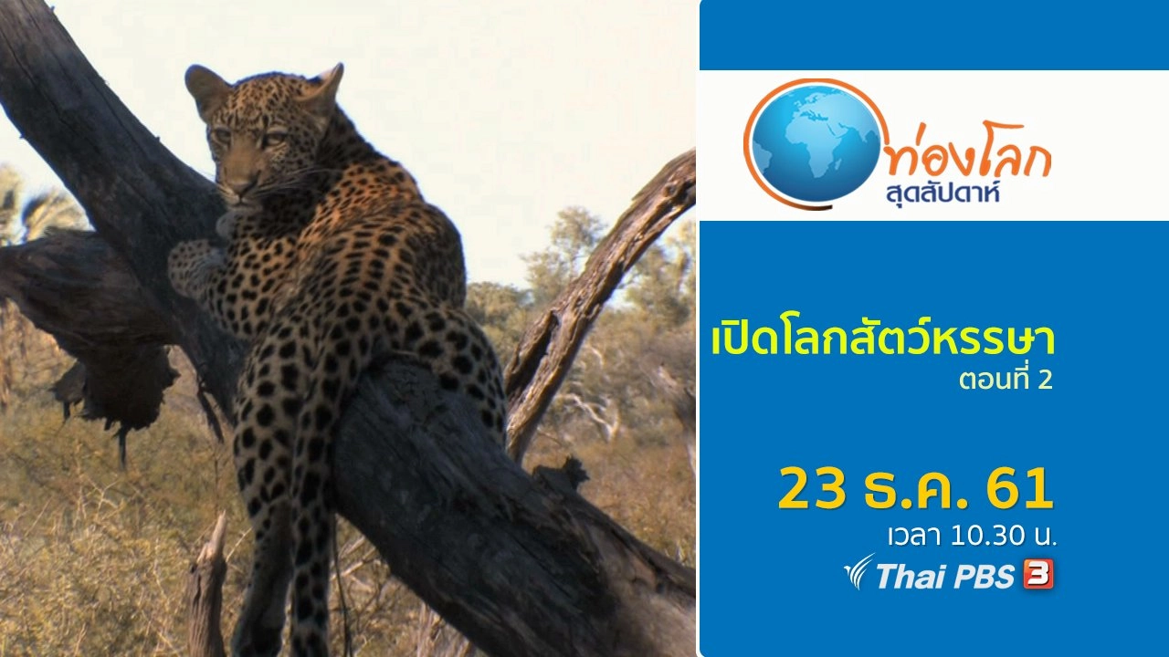 เปิดโลกสัตว์หรรษา ตอนที่ 2